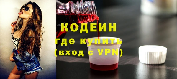 2c-b Краснослободск