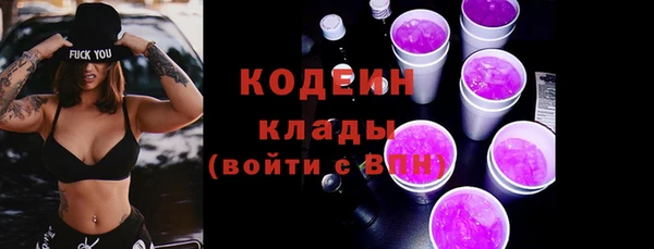 2c-b Краснослободск
