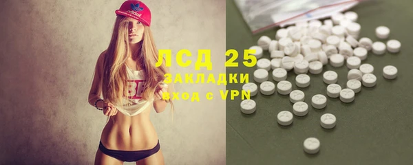 2c-b Краснослободск