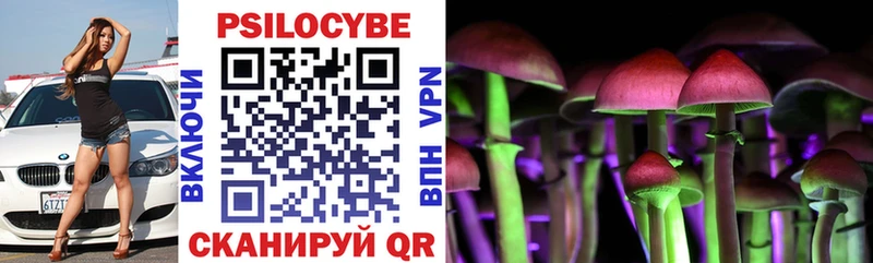 Купить закладки  Буй  Галлюциногенные грибы прущие грибы 